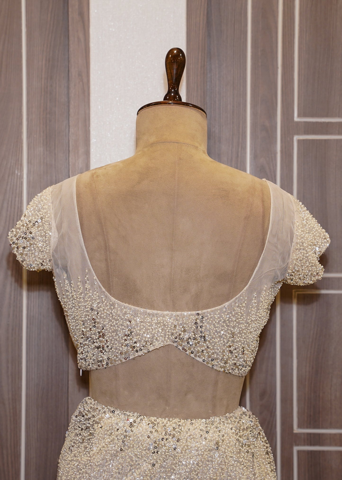 Ivory Sequence Saree with Hand Embroidered Border and Stitched Blouse