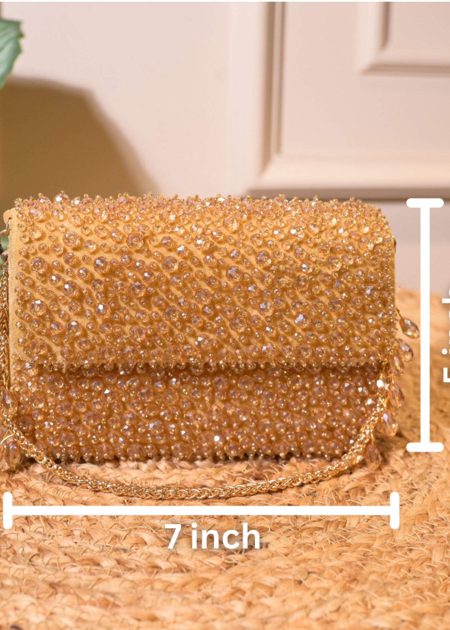 Golden Stud Rectangular Bag