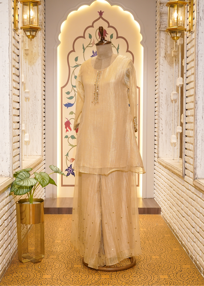 Beige Tissue Hand Embellished Short Shirt & Sharara Co-ord Set
