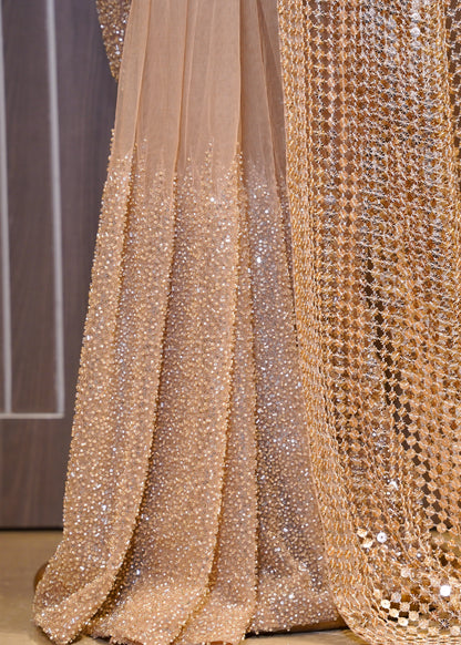 Golden Designer Pallu Saree with Hand Embroidered Pletes and Stitched Blouse