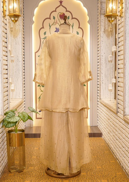 Beige Tissue Hand Embellished Short Shirt & Sharara Co-ord Set