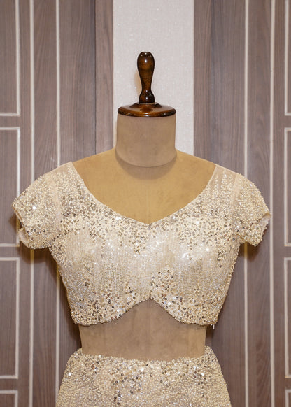 Ivory Sequence Saree with Hand Embroidered Border and Stitched Blouse