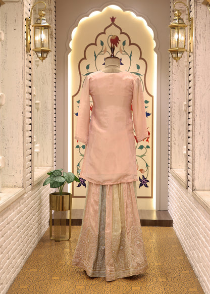 Lavanya Pink Multicoloured Sharara Suit Set