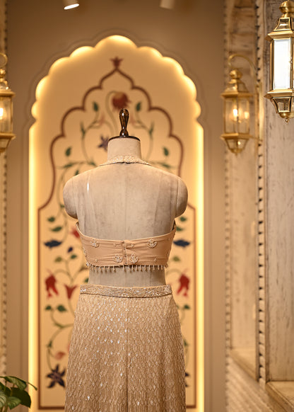 Sitara Champagne Halter Sharara Set with Dupatta