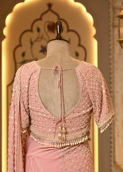 Pakhi Pink Mirror Hand Embroidered Saree with Stitched Blouse