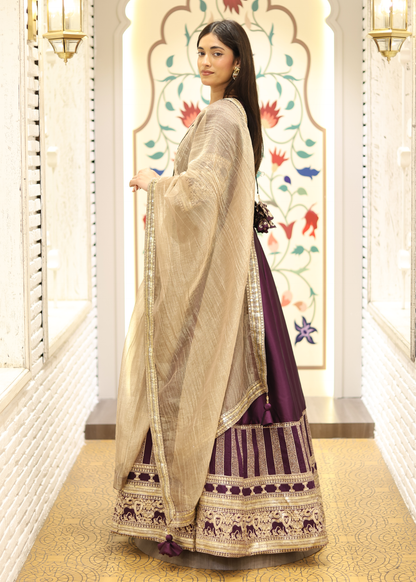 Kashish Maroon Anarkali with Tissue Dupatta